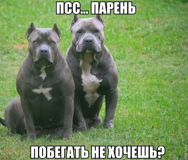 Побегать не хочешь?