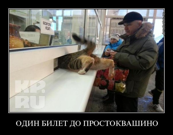 Один билет до Простоквашино.