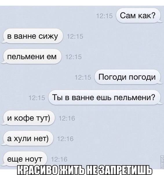 кот в трусах у тётки