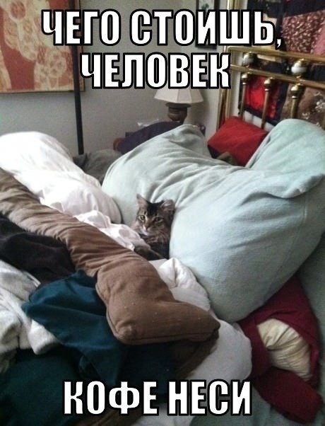 Чего стоишь человек? Кофе неси.