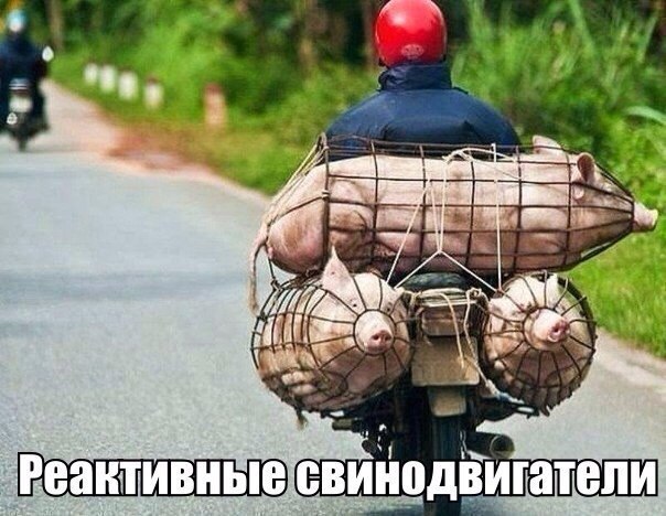 Реактивные свинодвигатели.