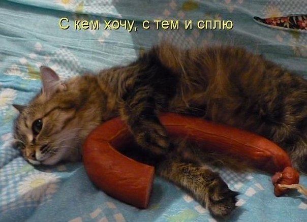 С кем хочу, с тем и сплю.