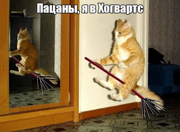 Пацаны, я в Хогвартс.