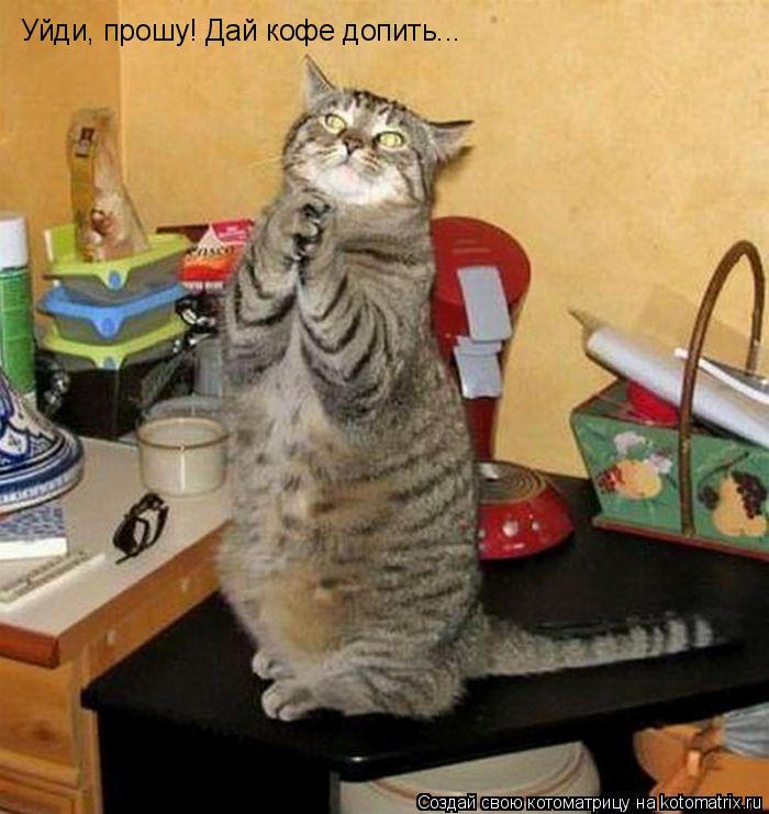 хозяйка только не на диету я...я спортом займусь,я бегать начну