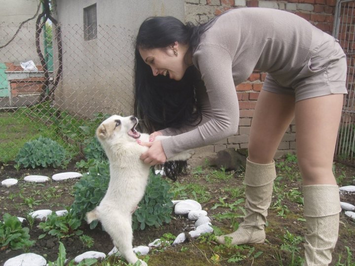 Ага, попался, который кусался!