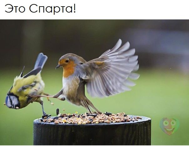 Сначала съели ваше, а теперь ест каждый своё...!!!