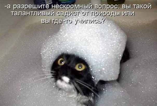 Какой же Вы талантливый...