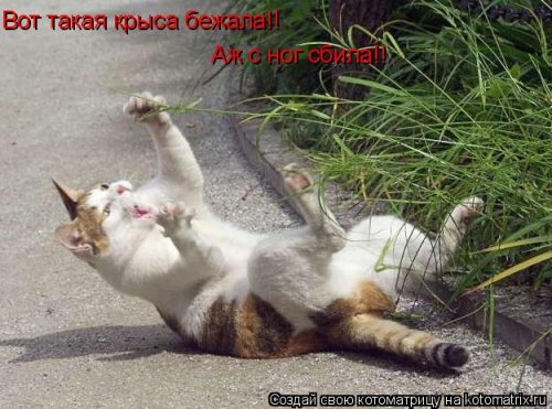 а рыбу я вчера какую поймал - с вот такими глазами!