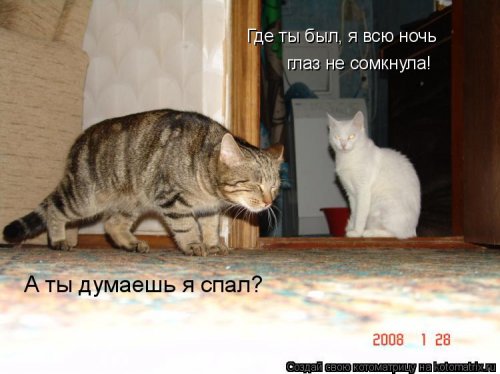 муж утром пришел домой