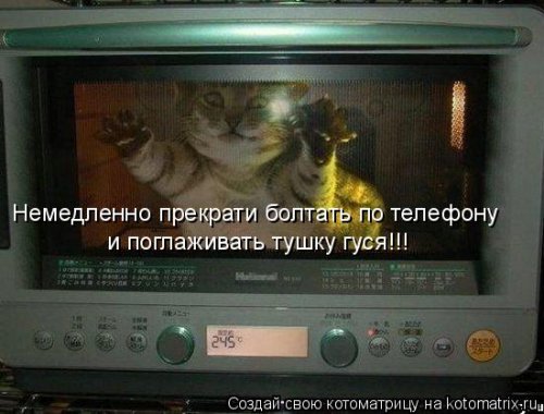 ты все перепутала