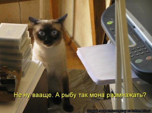 а почему нет?