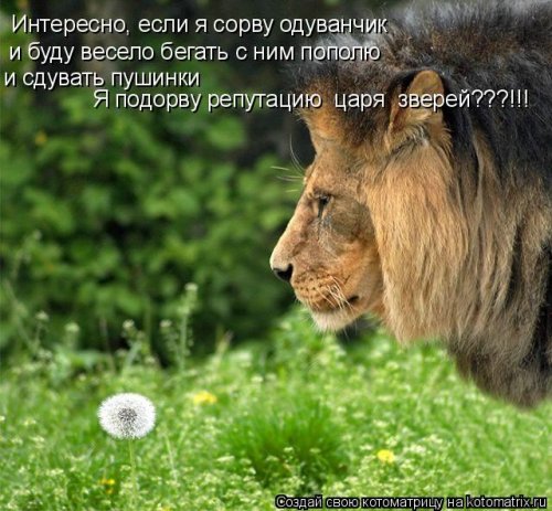 царь зверей