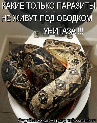 Обосраться...!!!