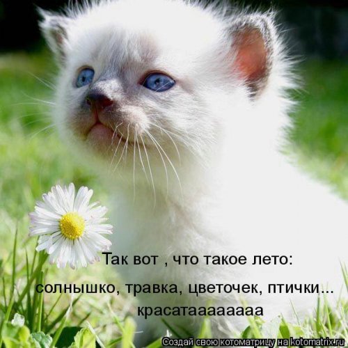 Что такое лето...