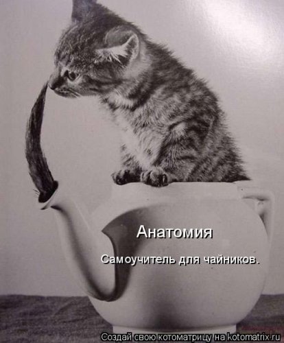 чайник для чайников