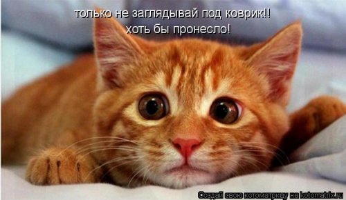 а глаза честные-честные