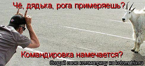 и кто из них настоящий?!