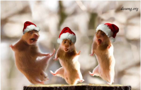 Снегурки после 12-00.