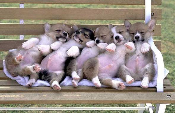 Эй вы!Подвиньтесь