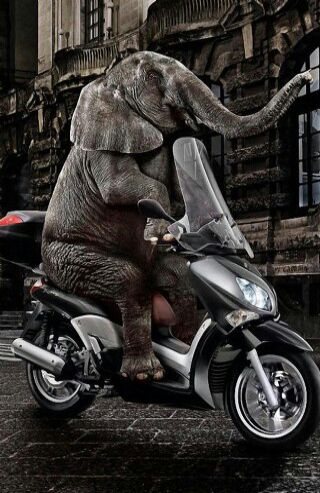 без коментариев....