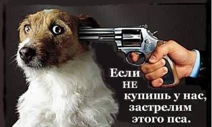 вот пример,как не надо делать рекламу