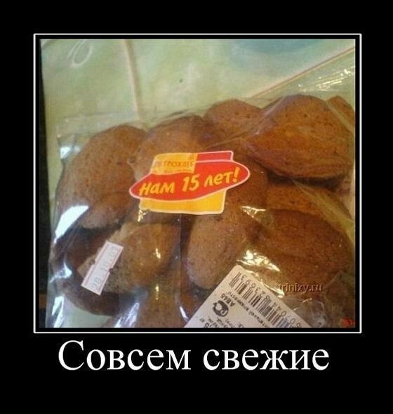 Совсем свежие