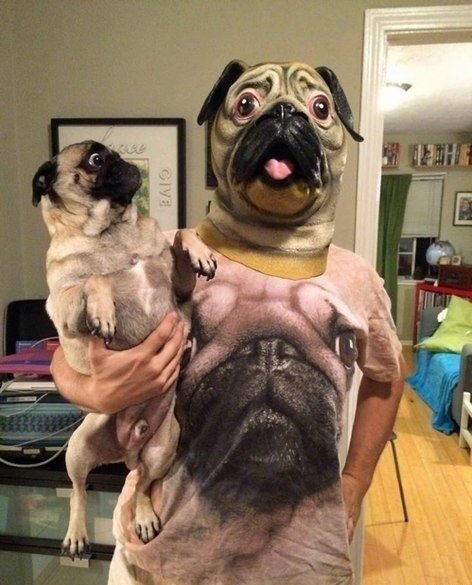 Как испортить психику собаке.