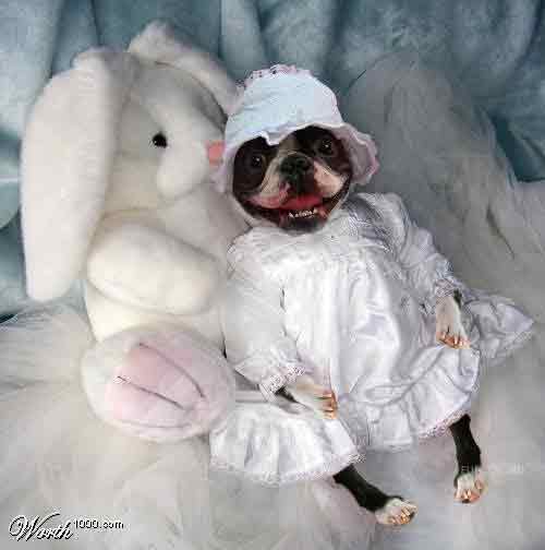 Нет-нет да и проскочит негритенок!