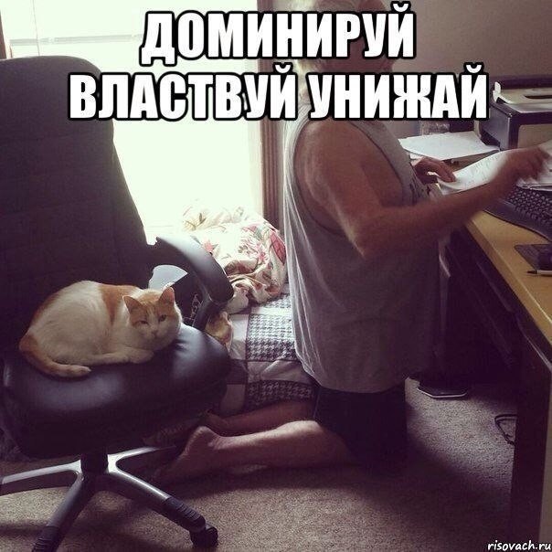 кто в доме хозяин