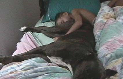 если он собаку сильно сжимать не будет то всё будет хорошо