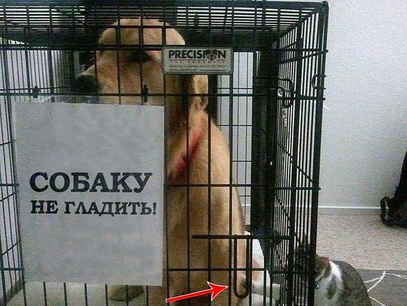 Сломал систему.