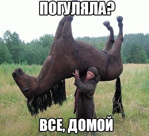 Дай еще 5 минут погулять