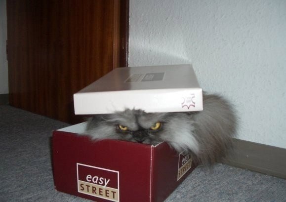 А вот кому ящик Пандоры со скидкой?!