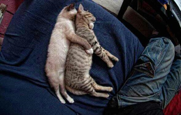 А я говорю не крутись!