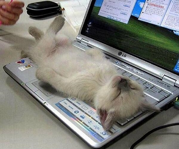 Улин Ник! Это не планшет...