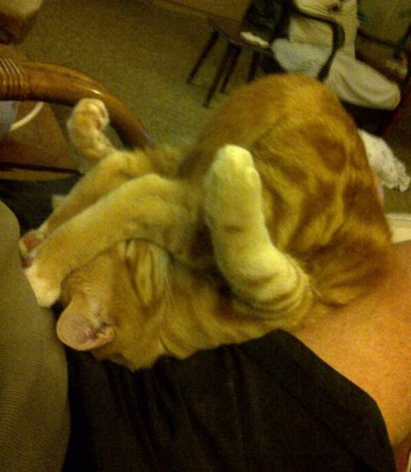 А вам так слабо...???