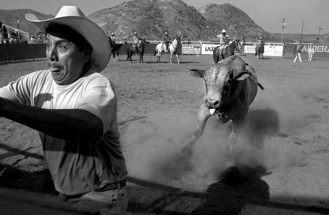 Нужно быстро сматываться!