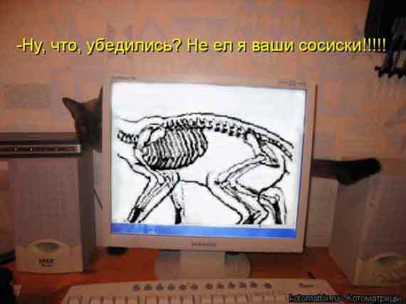 А кто нассал под монитор...???