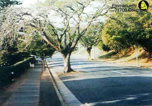 такие дороги