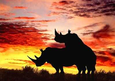 Милая, смотри во-о-он туда, какая красота!