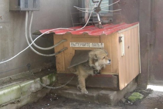 охраняется веретиренарами