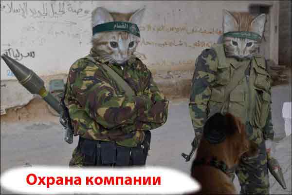 Пёс с ним! Пусть живёт