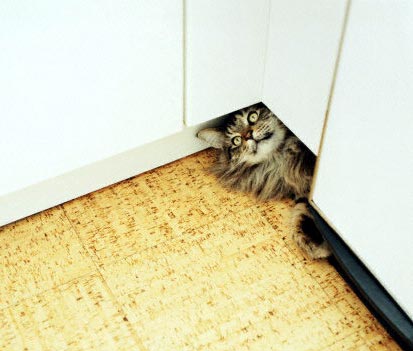 Здесь я прячусь, когда сделал что-то не то