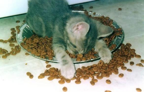 Жизнь удалась!