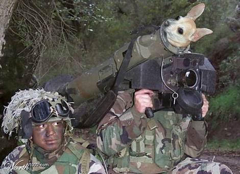 Я - Белка, Стрелка уже вылетела.