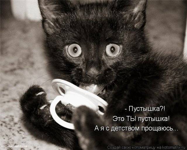 вот мяучит крошка "Где ты.мама кошка?"