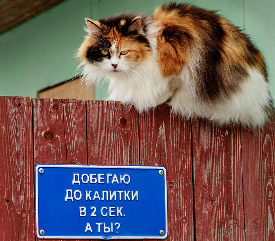 Зависит от того, кто сзади.