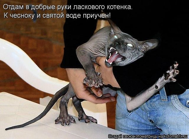 Прикинь... А кому-то эта дрянь нравится...!!!