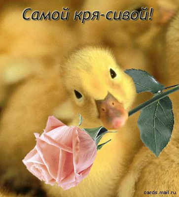 Подарок на 8 марта