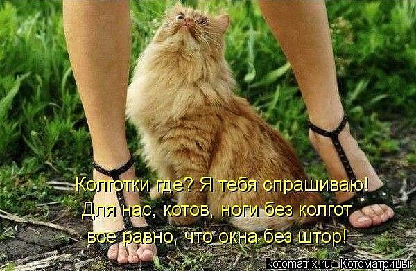 колготки где?